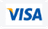 Visa Logo